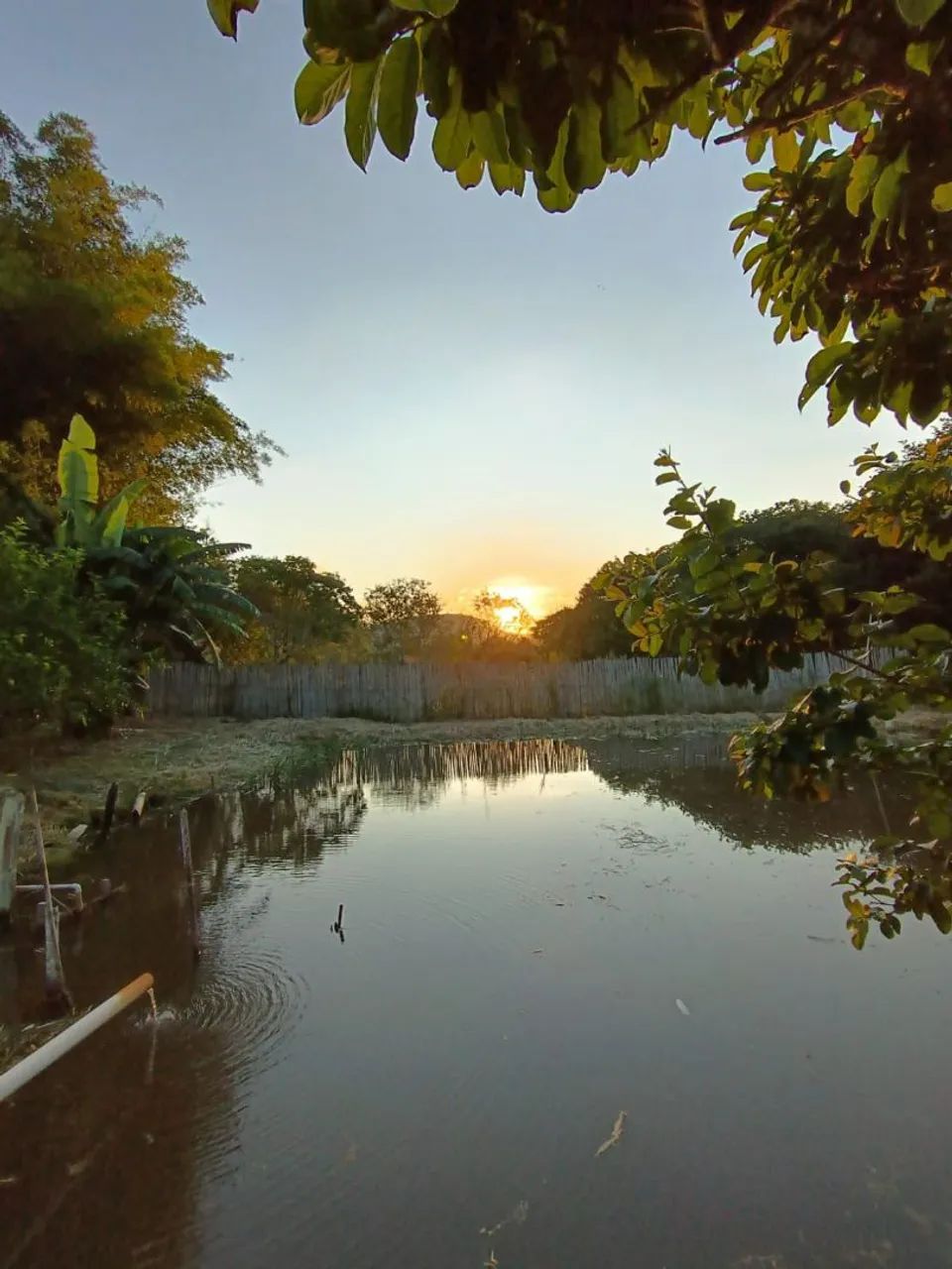 Chácara 2500m², São José Do Alegre M/G  - Foto 5