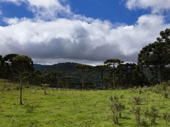 Chácaras a partir de 290 mil - Foto 2