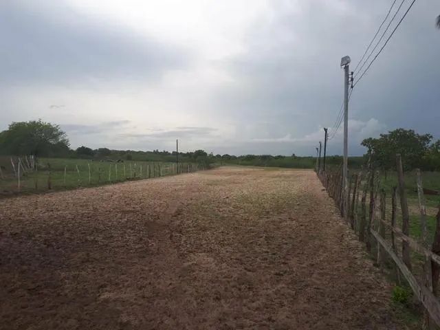 Ótima  Fazenda com 27 hectares de porteira fechada em traíras