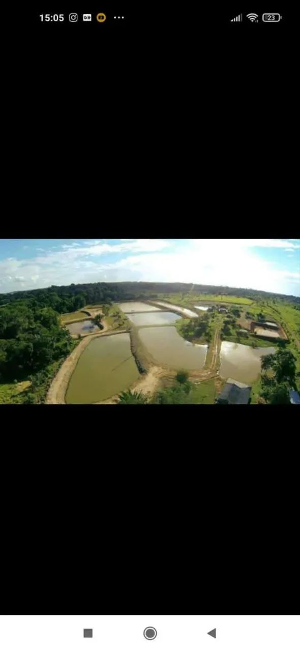 Fazenda 33 hectares dentro da cidade  - Foto 3