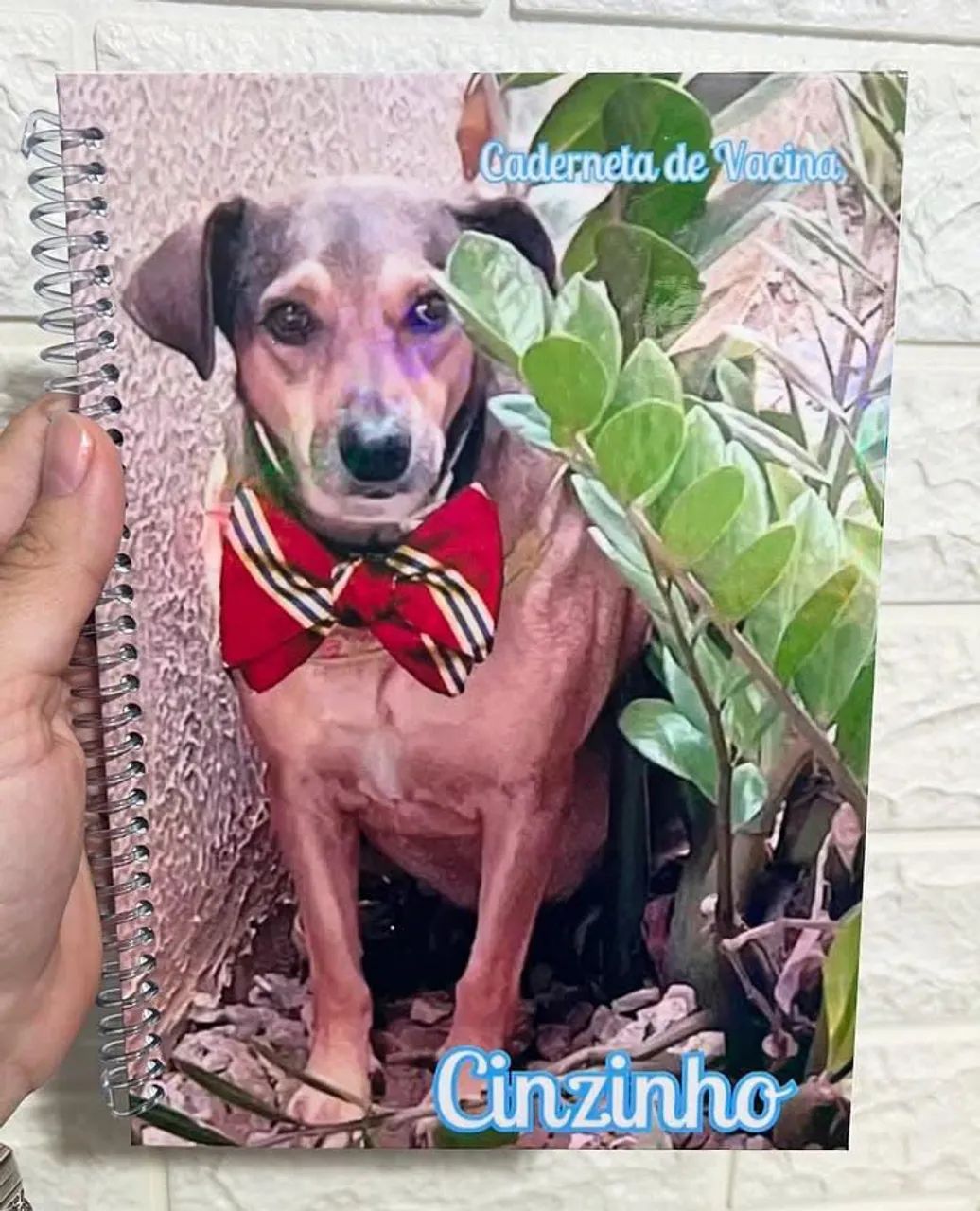 Caderneta de Vacina Personalizada - Dog - Foto 2
