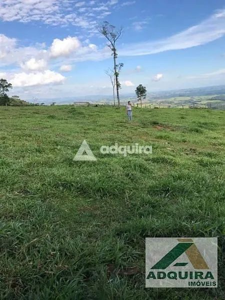Chácara à venda 1 Quarto, 840000M², Zona Rural, Cândido de Abreu - PR - Foto 5