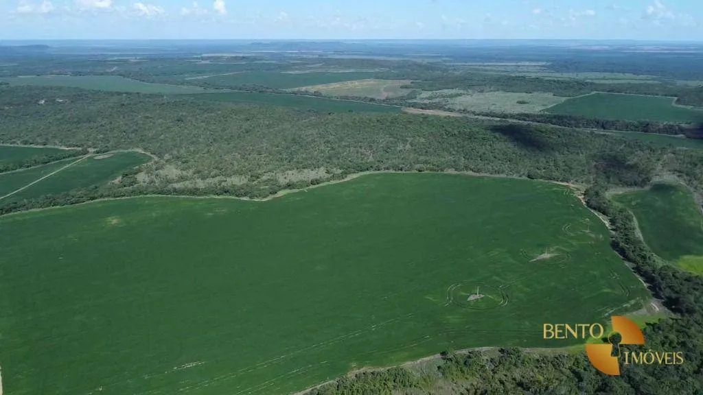 Terra com histórico de altos rendimentos.