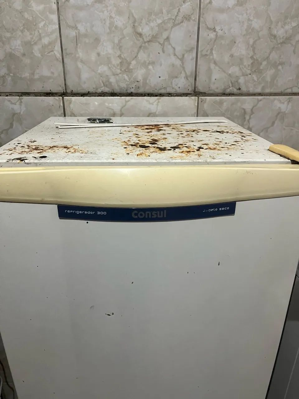 Geladeira Cônsul 300L - Foto 4