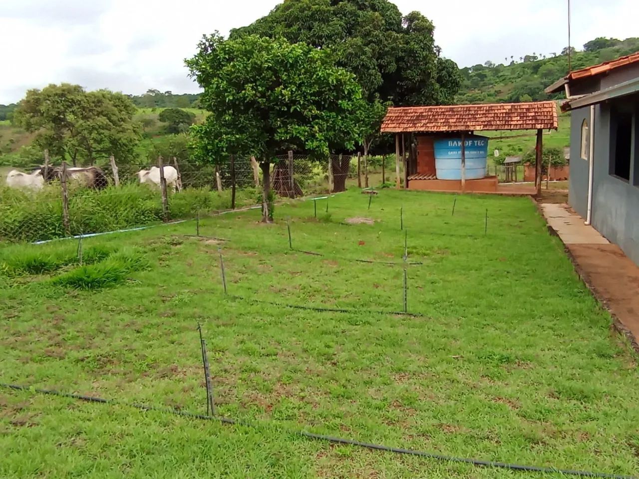 Sitio 1 Hectares Irrigado,Poço Artesiano/Caixa D'Água 50.000 Litros.. - Foto 15