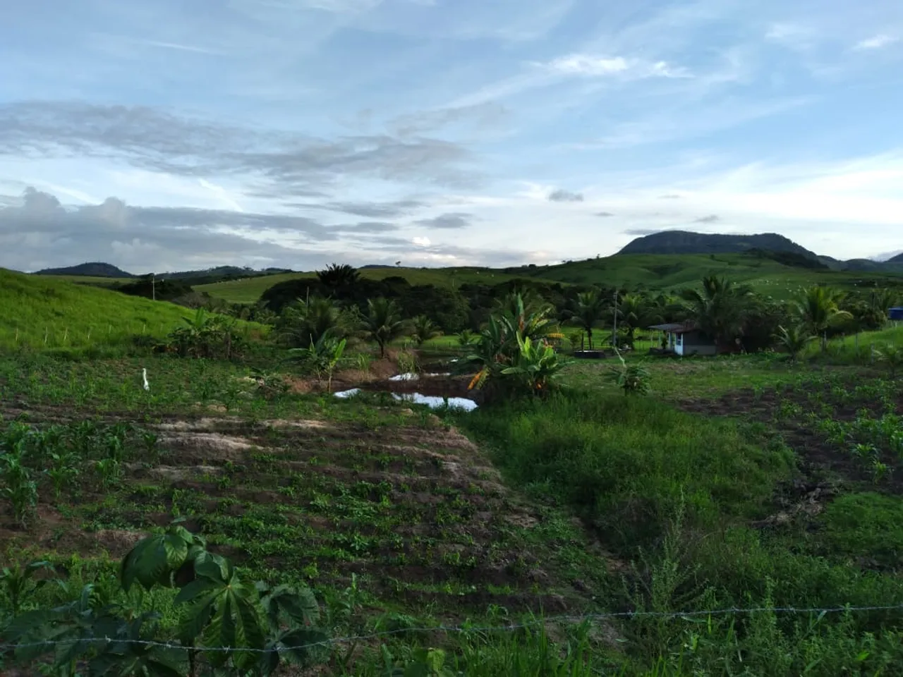 TERRENO 14 EC DE TERRA. TROCA EM AUTOMÓVEL E ESTA ABERTO A NEGOCIAÇÃO!