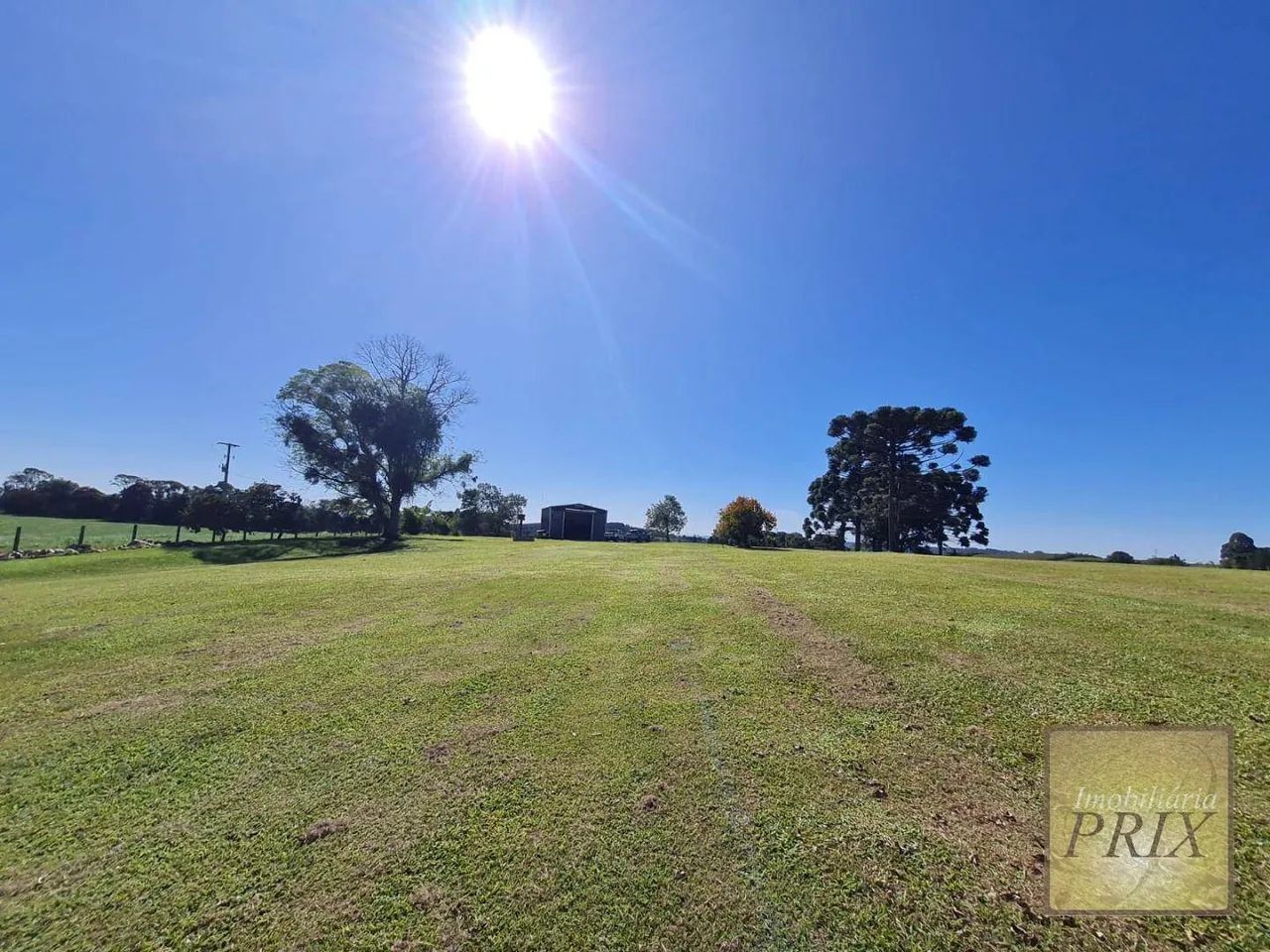 Chácara com 2 dormitórios à venda, 31627 m² por R$ 990.000,00 - Zona Rural - Palmeira/PR
