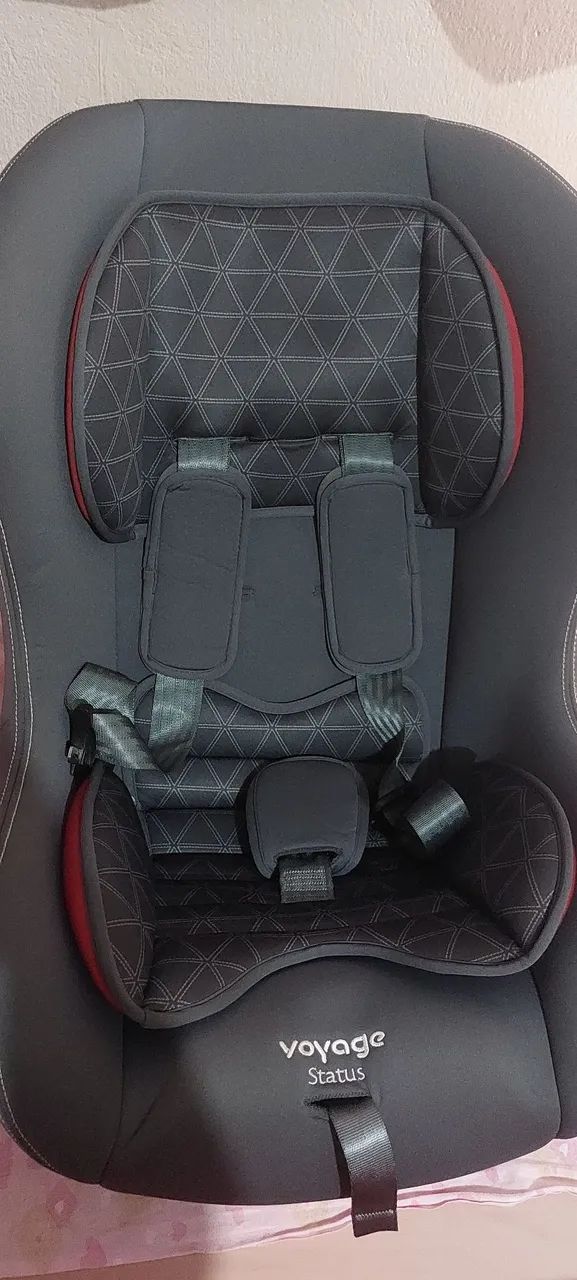 Cadeirinha de carro 