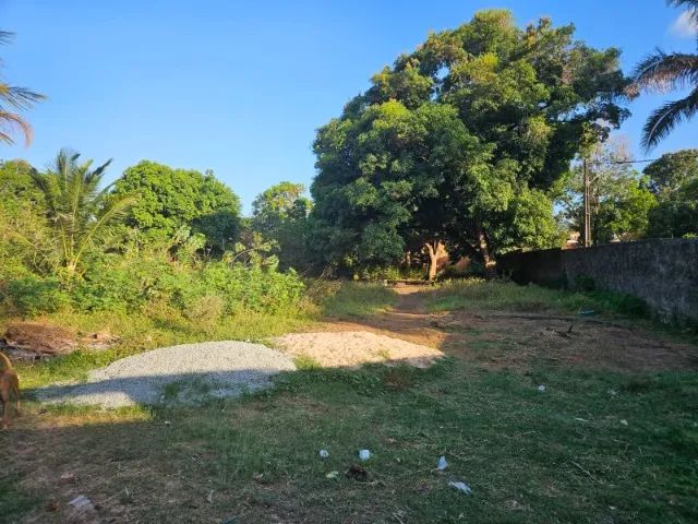 Sitio Maracanã   - Foto 3