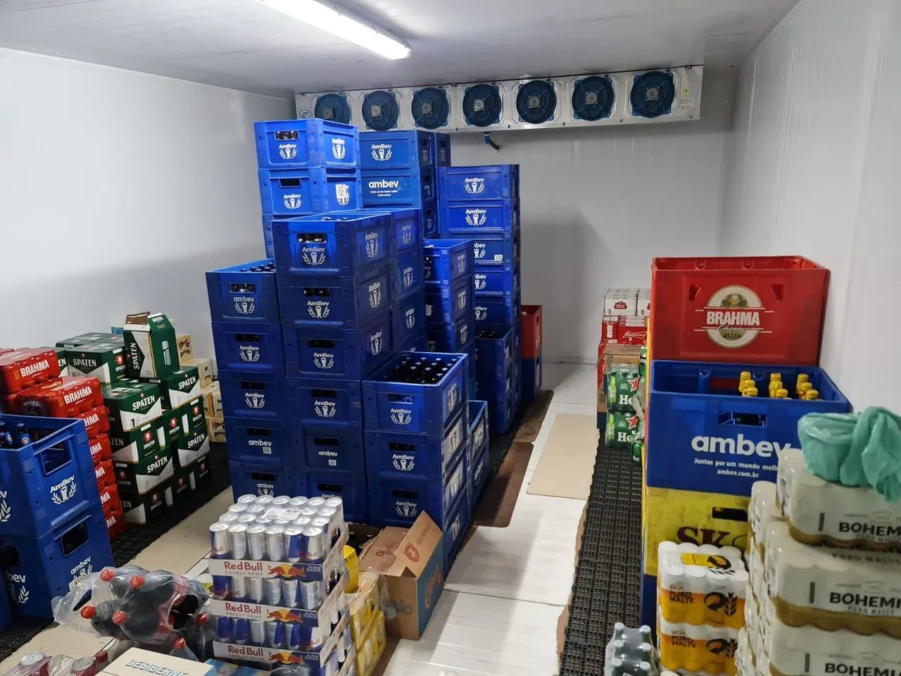 Câmara fria 