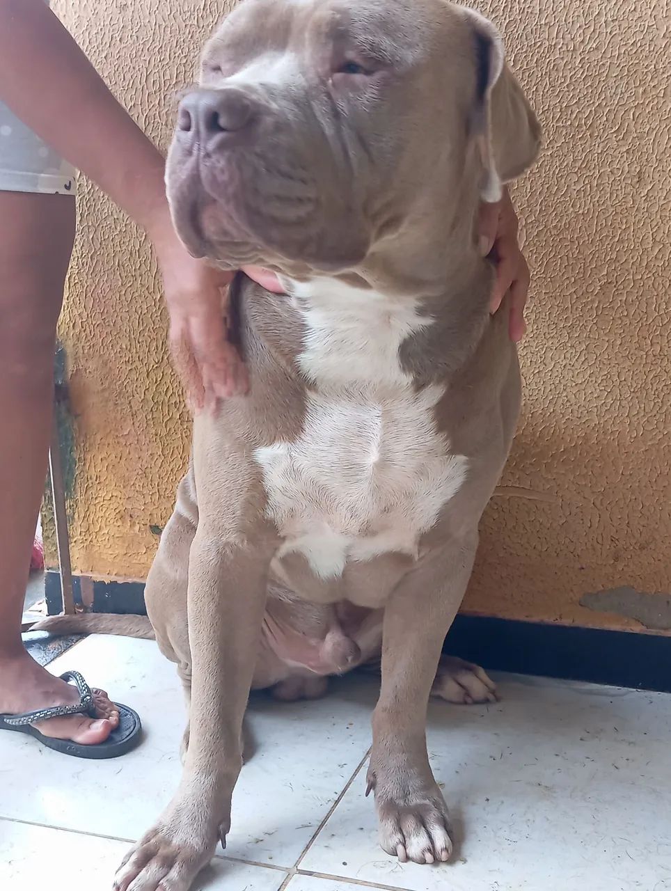 Vende-se 