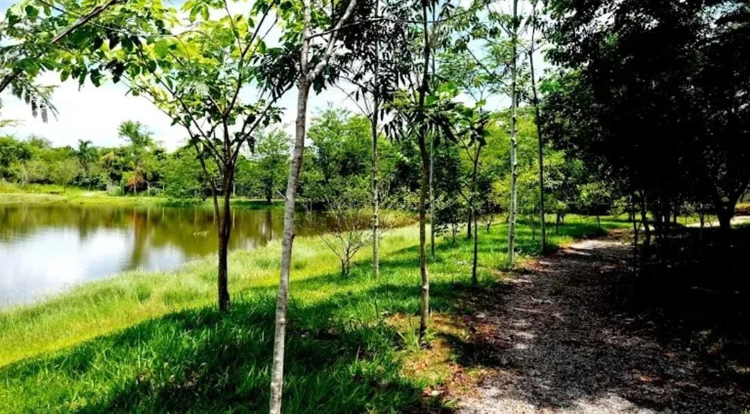 Lindo terreno de 1000 metros - Foto 2
