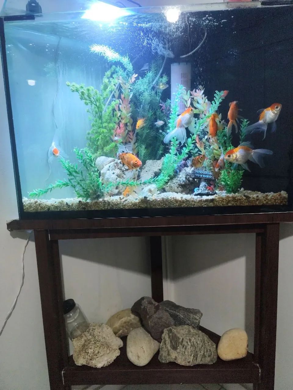 Aquário com móvel 