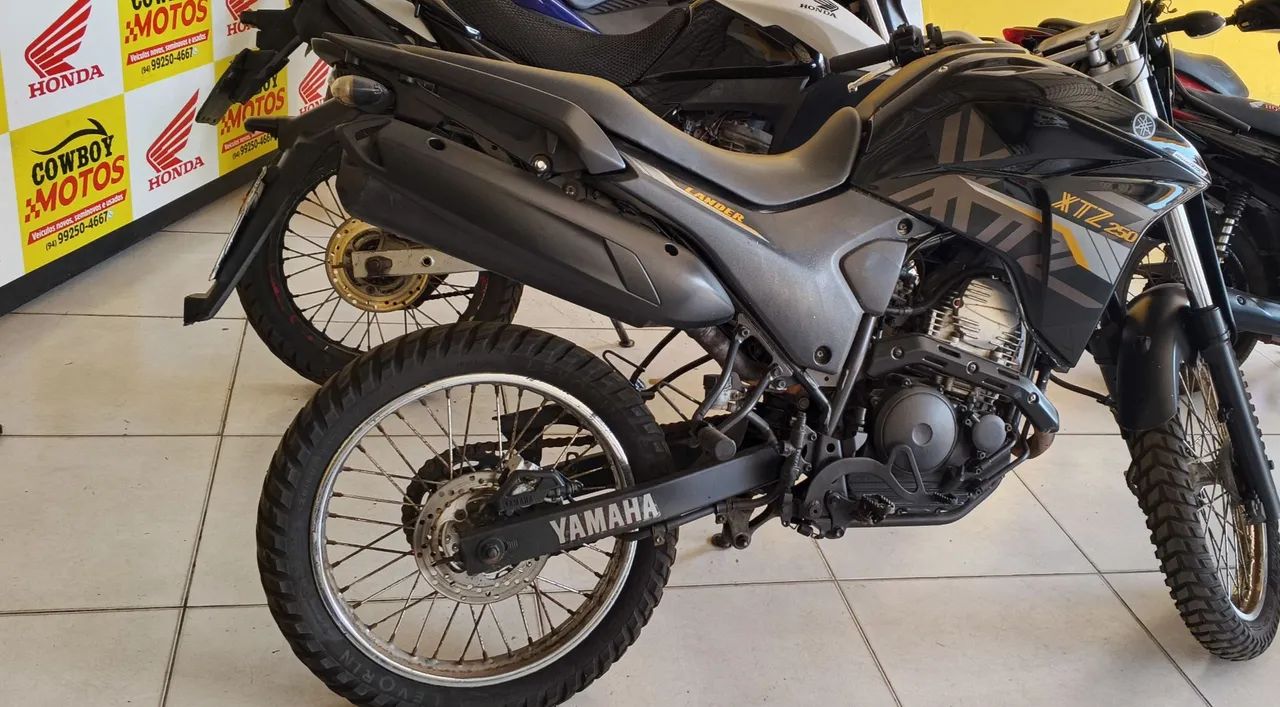 Lander 2020 preta