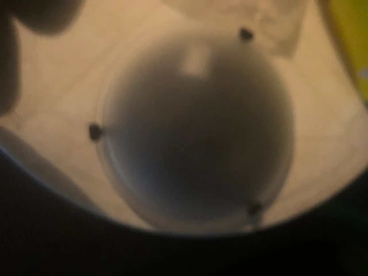 Ventilador de teto  - Foto 2
