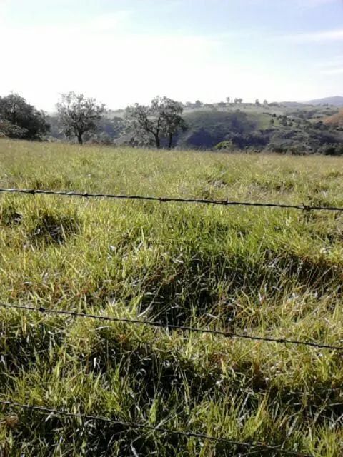 Área de Terra com 178.400m² Próxima a Condomínios em Sorocaba - Foto 2