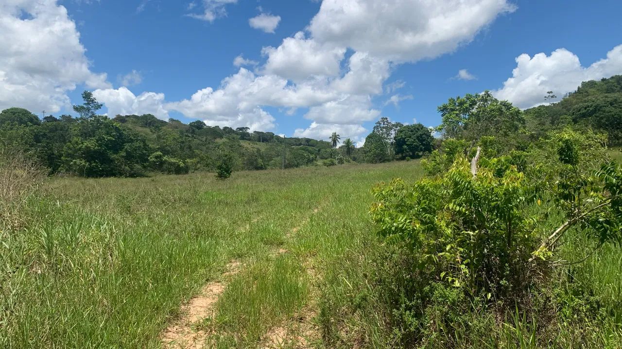 Fazenda em Catu-Ba - Foto 3