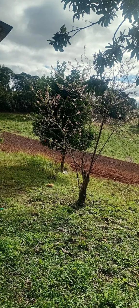 Chácara venda em Quitandinha.