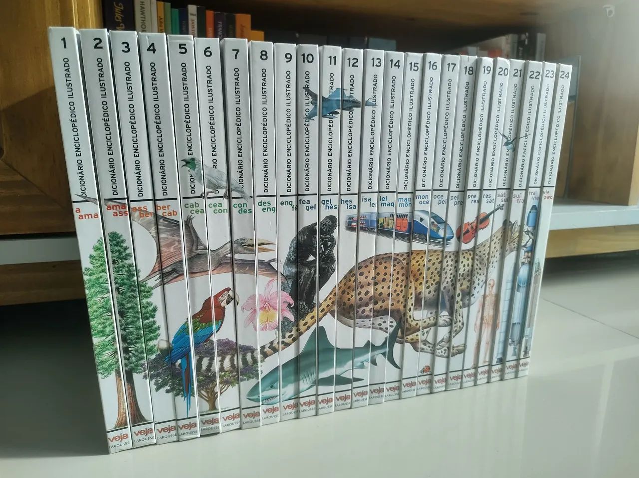 Coleção Larousse Completa  - Foto 3