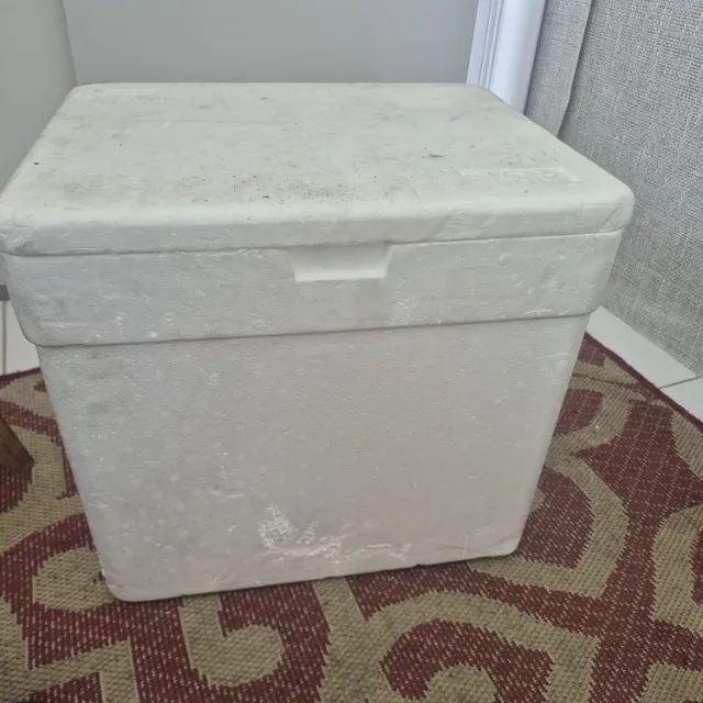 Cooler