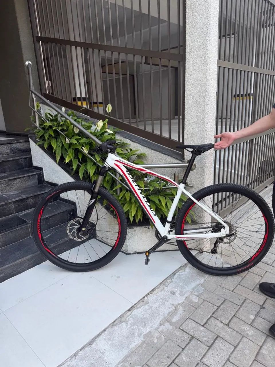 Bike Specialized 29