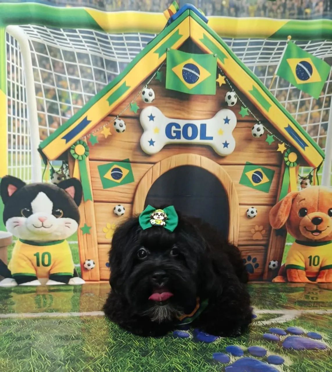 Dog - Foto 2