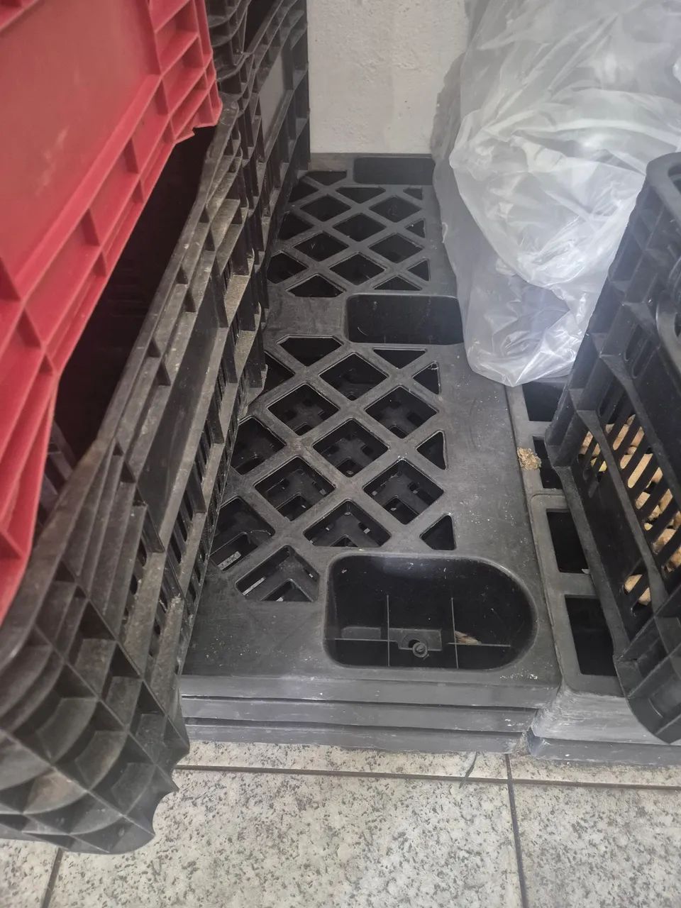 Cinco Pallets plásticos de 1,2m X 1m - Foto 3