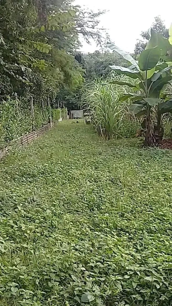 Vendo!!! Uma chácara com 1.700 m² na região do distrito da Guia  Cuiabá/MT - Foto 4