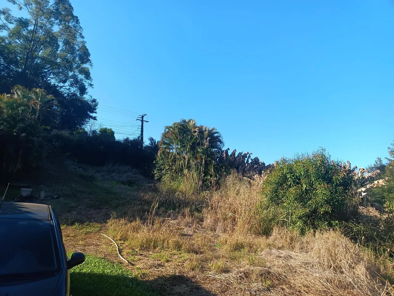 Chacara 5000m em irere - Foto 2