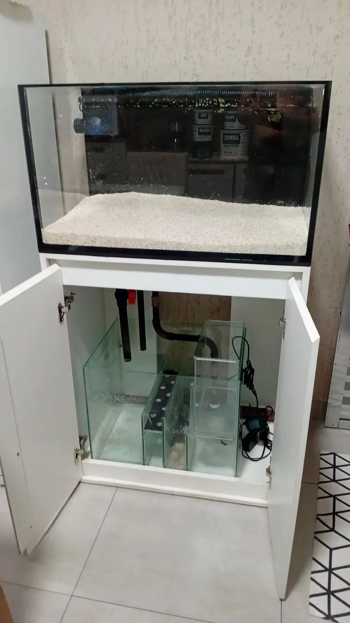 Aquário marinho  - Foto 2