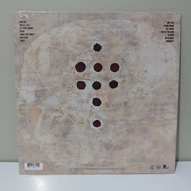 LP Disco Vinil Foo Fighters - Foto 2