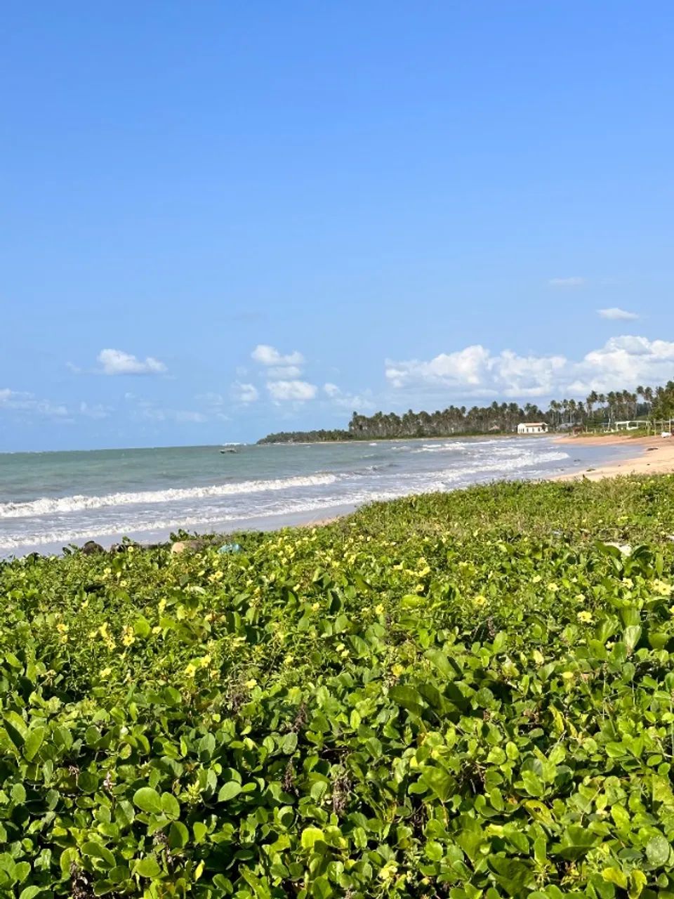 TERRENO DE 1.268M² NA PRAIA DO RIACHO - SÃO MIGUEL DOS MILAGRES - Foto 3