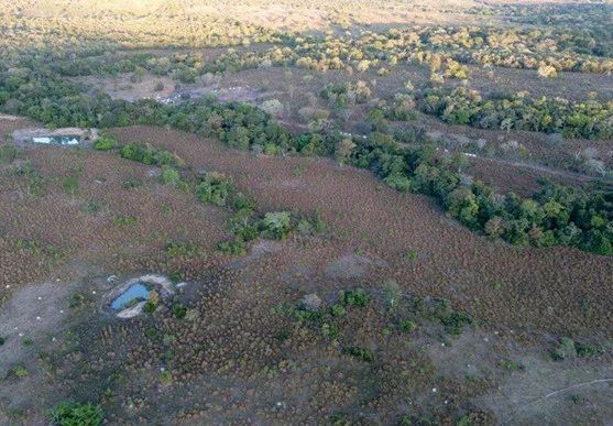 Imóvel rural no Tres Barreiras em Araguaçu - Foto 3