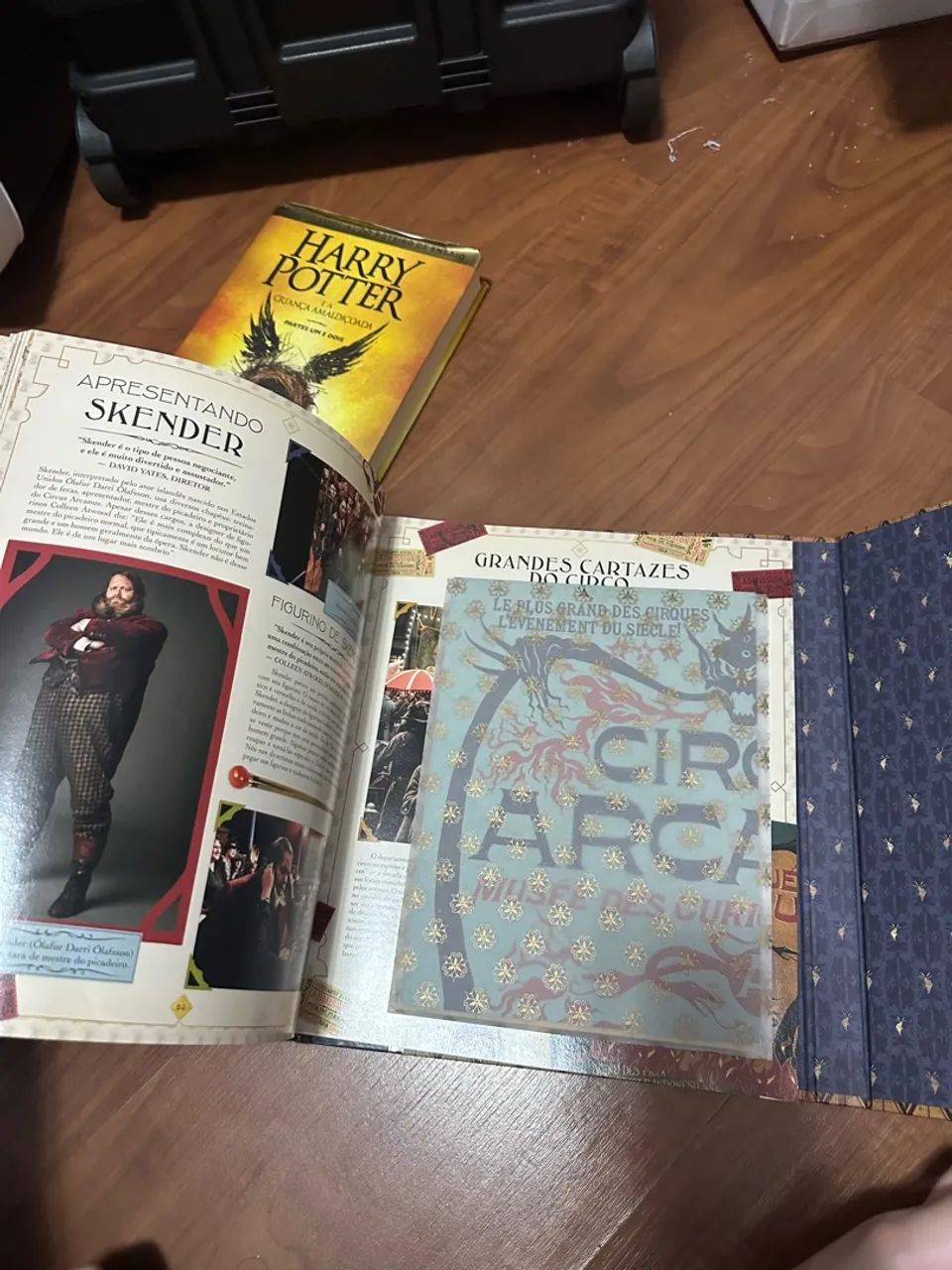 Os Arquivos da Magia - Crimes de Grindelwald - Livros e revistas