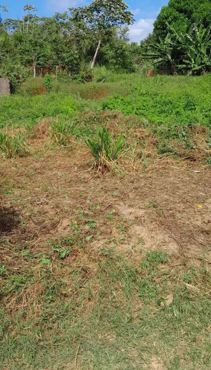 Terreno 10x30 m - Foto 2
