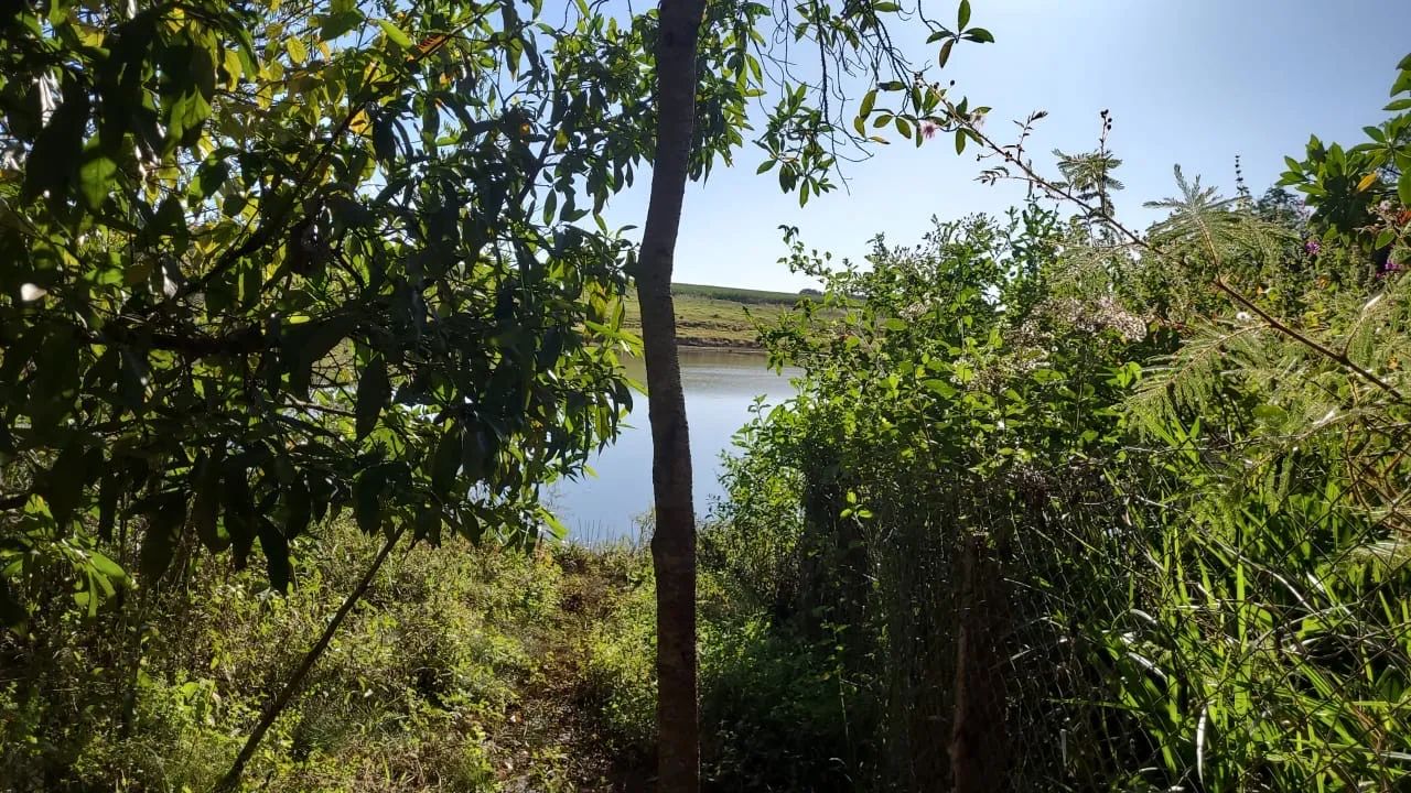 Chácara em Rio Verde  - Foto 2