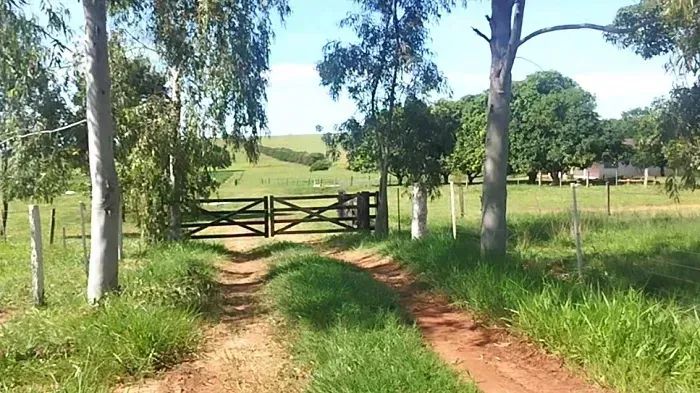 PECUÁRIA - Área Rural 126 Alqueires - Loanda - Pr - Foto 5