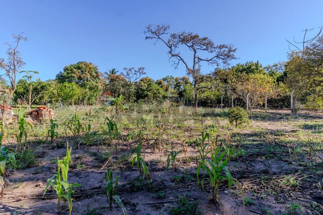 "Terreno 1000m² em Itirapina - Oportunidade Única!"