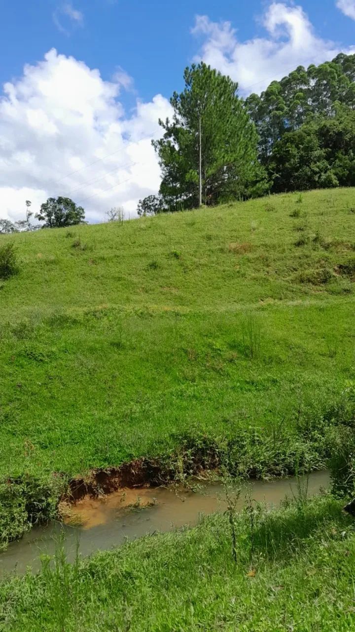 CHACARA 2 HECTARES A VENDA EM ANITAPOLIS  - Foto 3