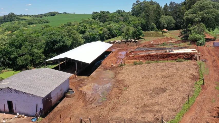 Fazenda em Ibema - Foto 4