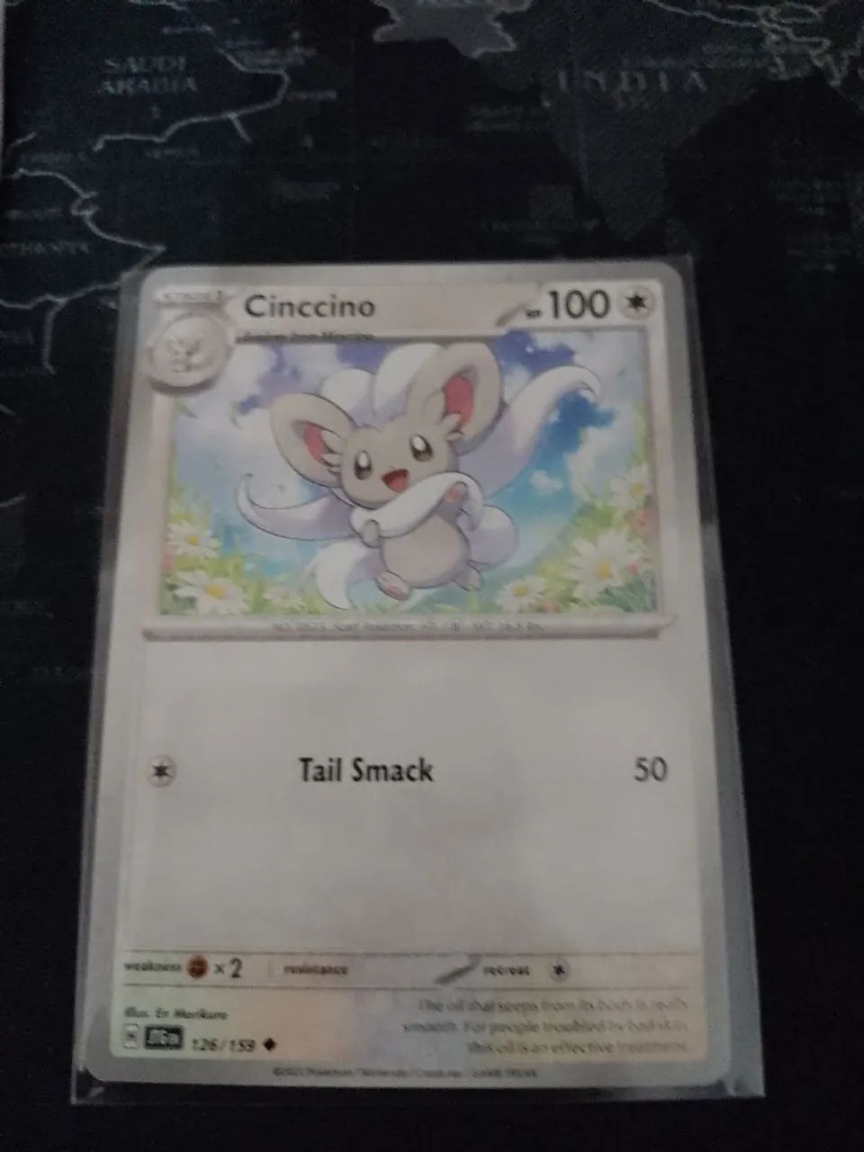 Cinccino