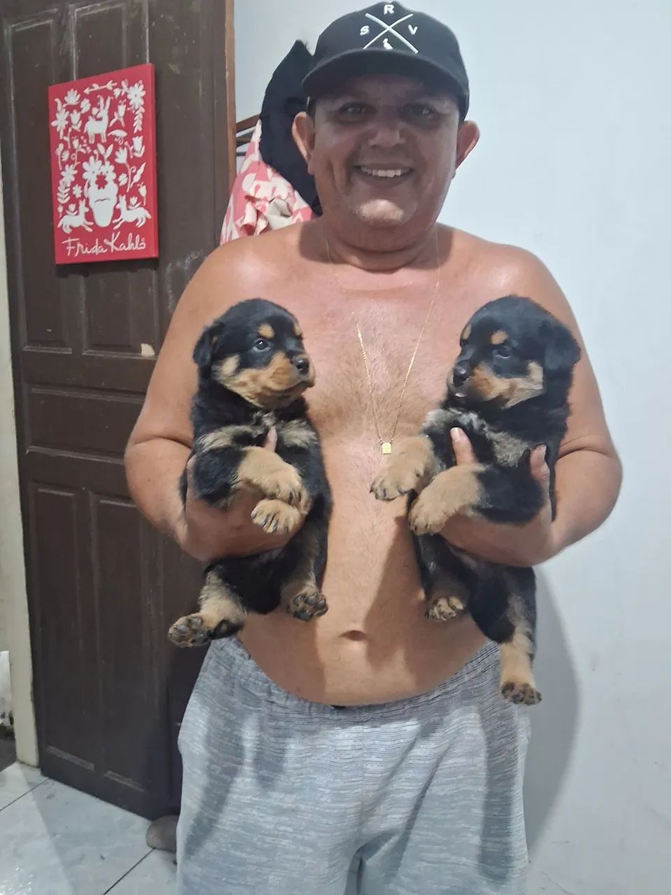 Vende se filhotes de rottwaller  - Foto 5