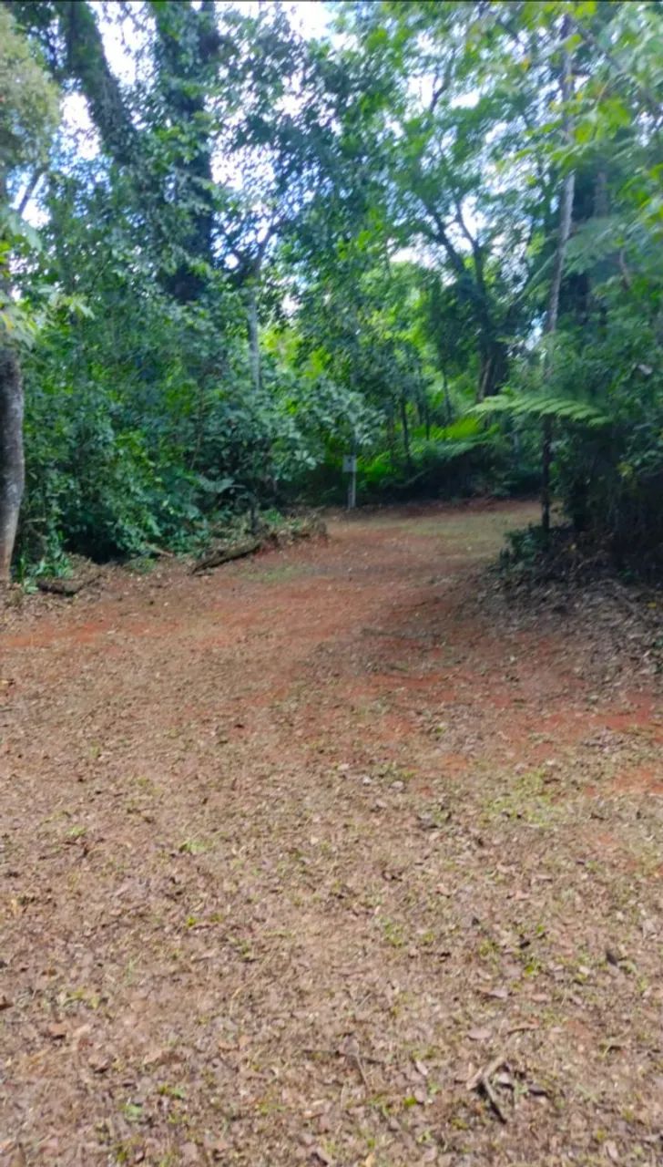 Aluga-se chácara para moradia em Cascavel  - Foto 3