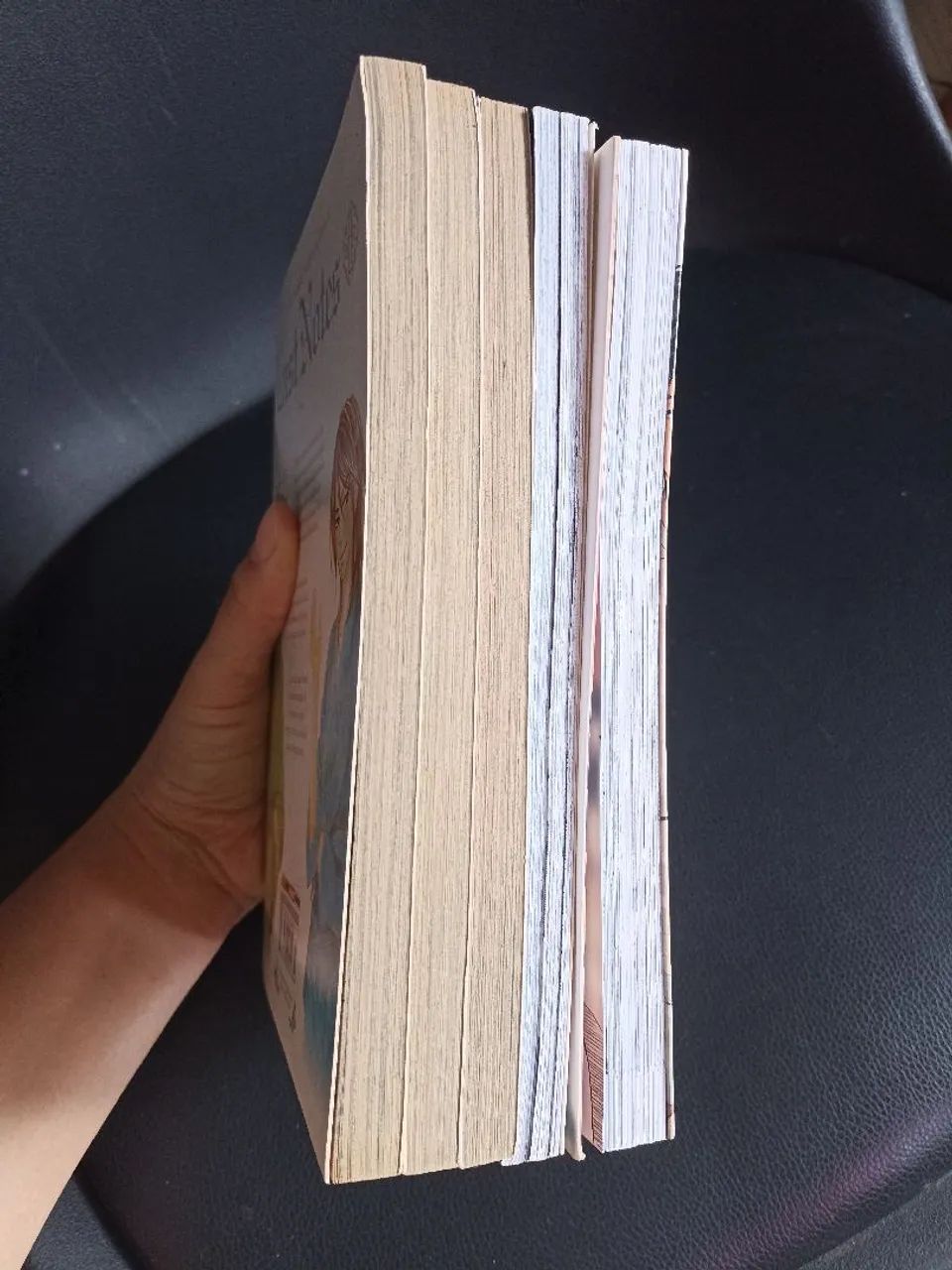 Mangás diversos - Foto 3