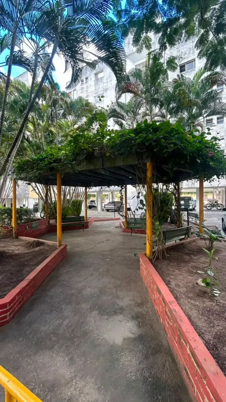 APARTAMENTO NO PINHEIRO PARA ALUGUEL - Foto 3