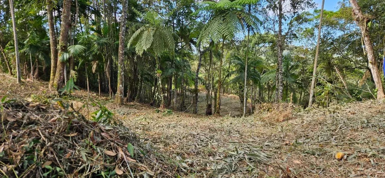 Sitios a Venda em  São Pedro de Alcântara - SC - Foto 5