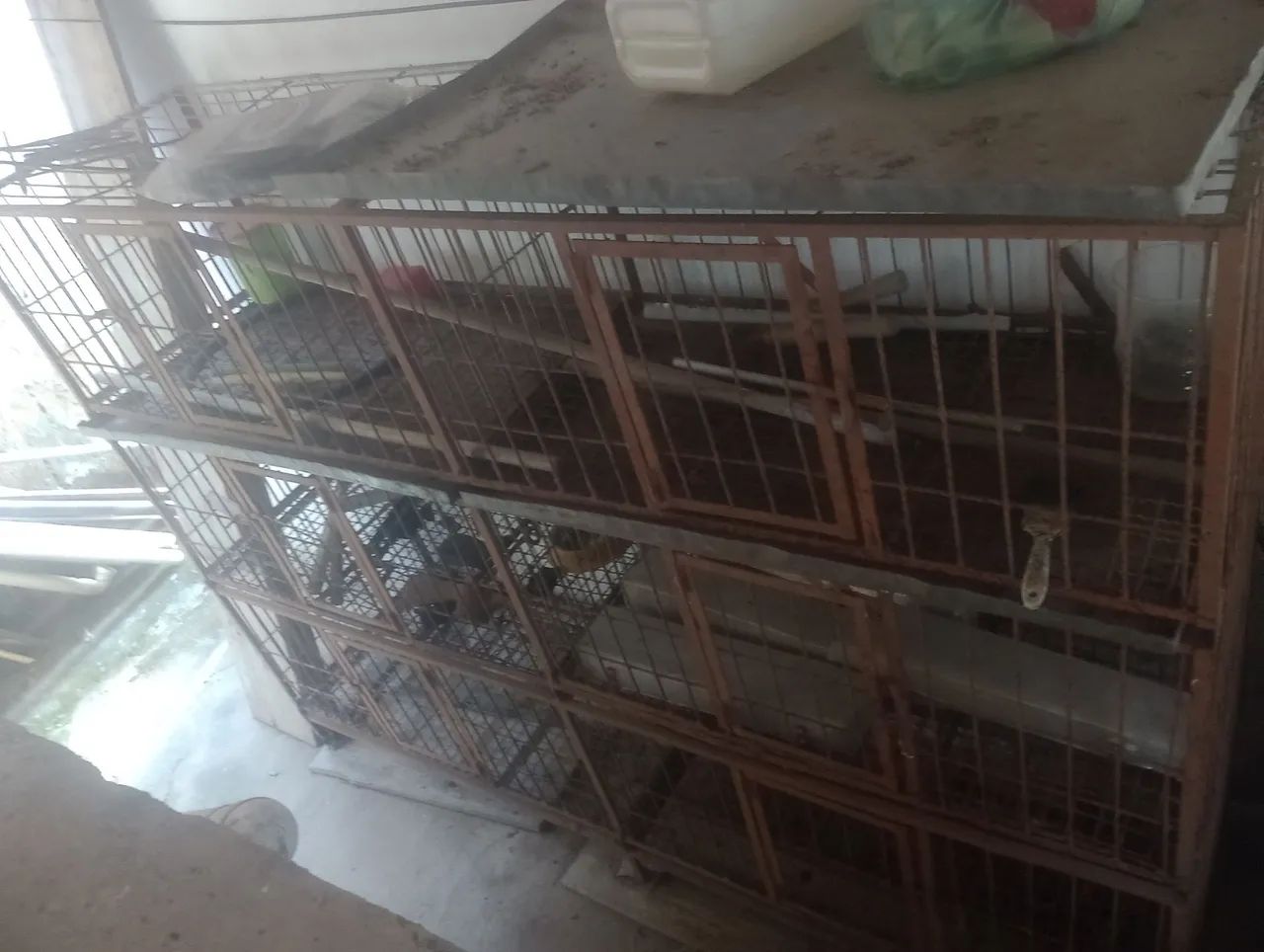 Gaiola pra aves  - Foto 2