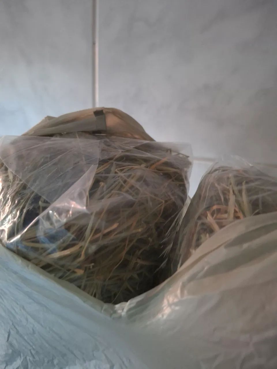 Feno 800g - Foto 2