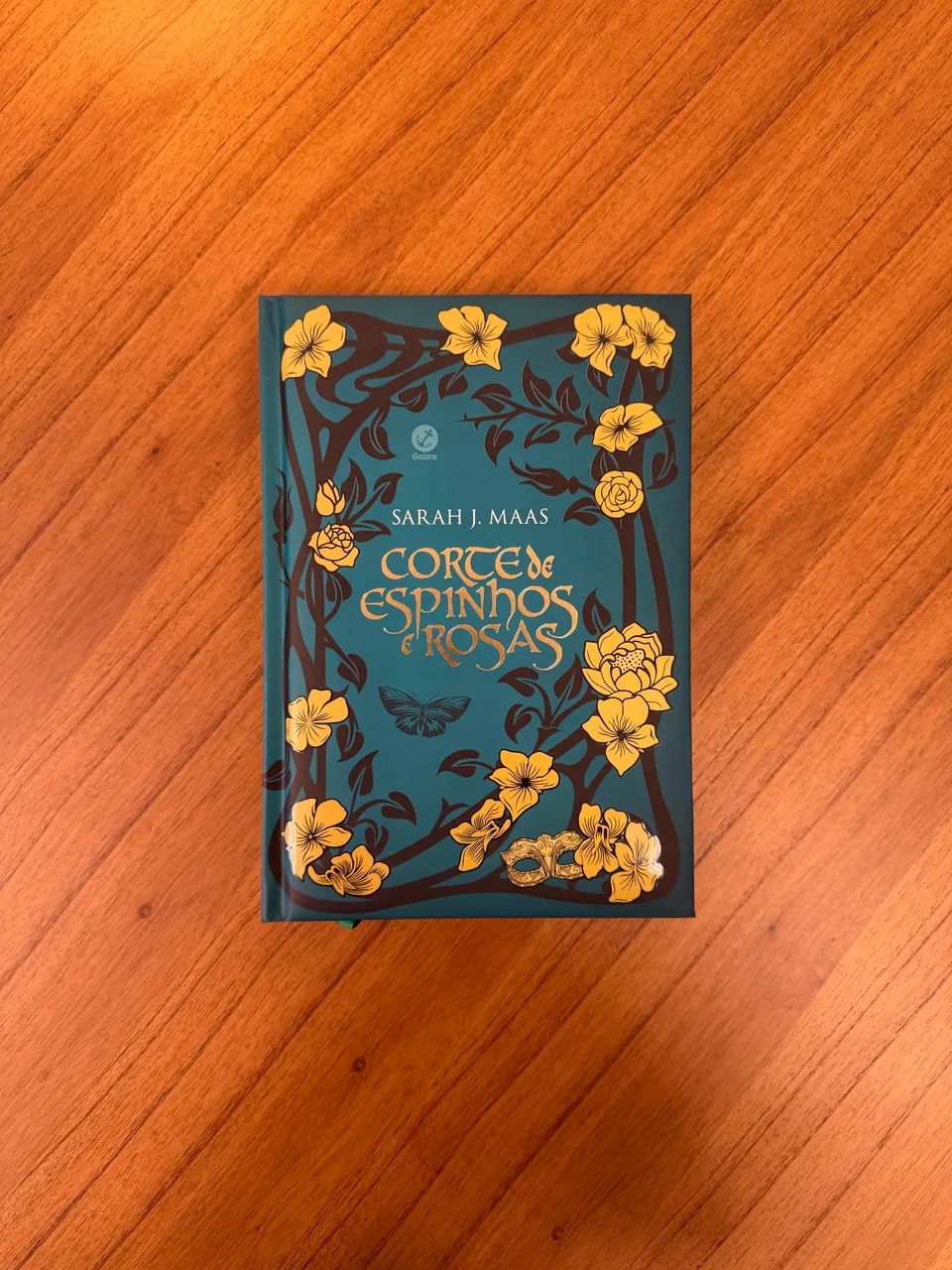 Livro - Corte de Espinhos e Rosas 