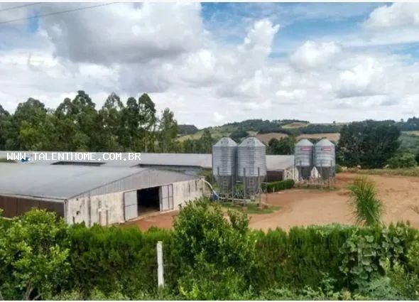 Imóvel Comercial para Venda em Roncador, RURAL - Foto 3